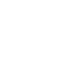 Verified Sol Mobile App Development Service